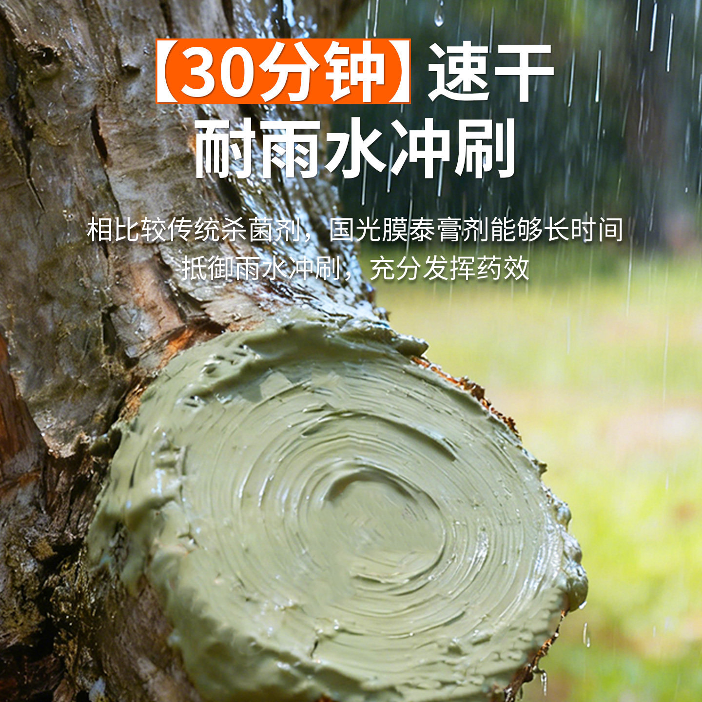 国光膜泰植物伤口愈合剂修复大树果树杨树甲基硫菌灵软腐病杀菌剂,淘宝优惠券,粉丝福利购,淘宝优惠卷