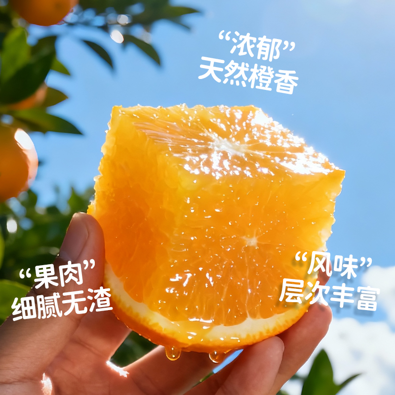 橙先森赣南脐橙赣州现摘发货赣州橙鲜橙赣南新鲜橙子10斤装