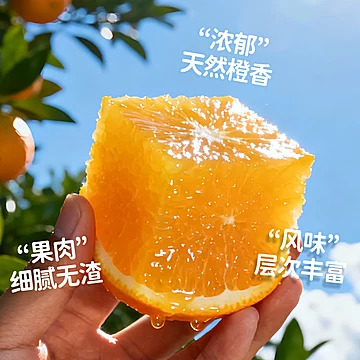 橙先森赣南脐橙产地现摘直发橙子10斤[20元优惠券]-寻折猪
