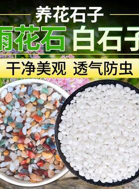 【5斤装】酒店烟灰缸造型用白沙子小石子 垃圾桶上放烟灰用小石头