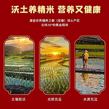 【破价】富硒猫牙米长粒香大米5斤[5元优惠券]-寻折猪