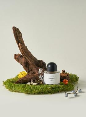 天然沉木造景 枯木拍照道具树枝木头装饰ins静物摄影陈列摆件干花