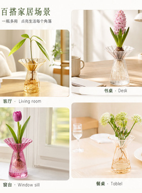 竖纹款牛油果郁金香种球水培彩色玻璃花瓶室内绿植桌面摆件