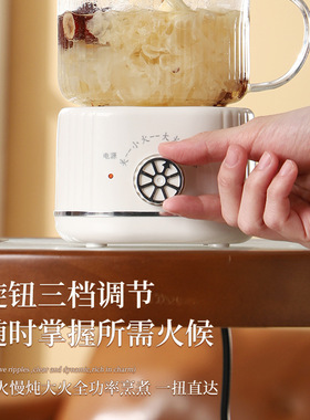 多功能迷你养生杯办公室烧水杯煮茶花茶壶家用小型养生壶伴手礼品