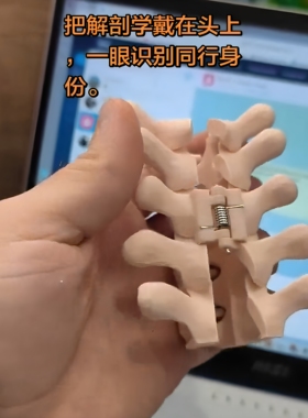 人体解剖学颈椎骨骼发夹模型发卡