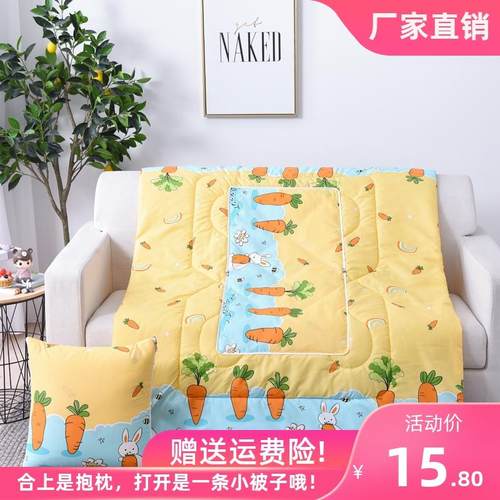 V45O两用抱枕被子折叠靠垫被沙发靠枕坐垫靠背汽车午睡空调被枕头 - 图0