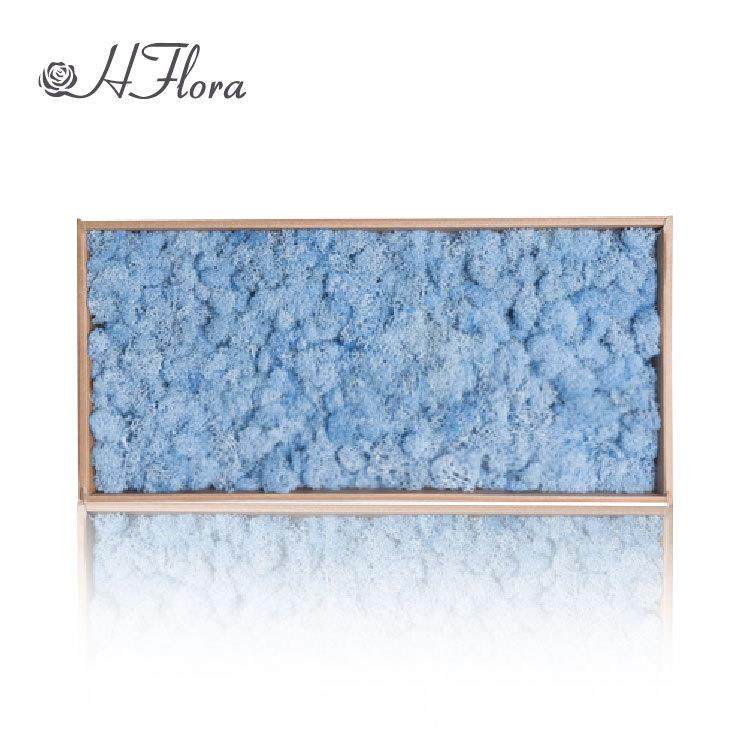 永生花驯鹿苔藓景观造景块状苔藓酒店装饰公司背景墙青苔DIY材料,淘宝优惠券,粉丝福利购,淘宝优惠卷