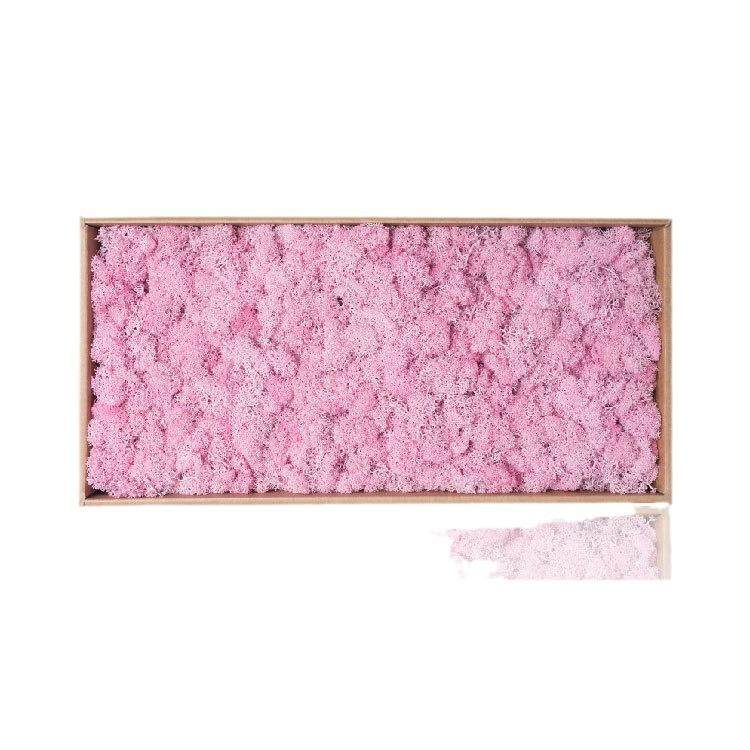 永生花驯鹿苔藓景观造景块状苔藓酒店装饰公司背景墙青苔DIY材料,淘宝优惠券,粉丝福利购,淘宝优惠卷