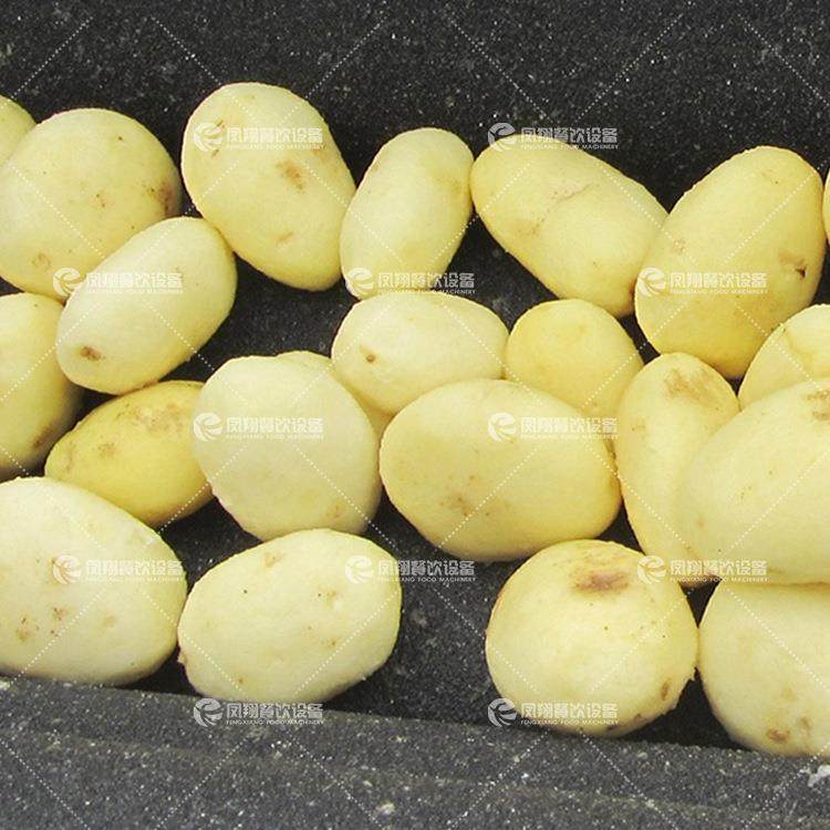 商用螺丝菜胡萝卜全自动清洗机大型青萝卜清洗器不锈钢洗萝卜机,淘宝优惠券,粉丝福利购,淘宝优惠卷