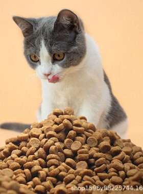 膨化幼猫粮全套生产线膨化粮成猫粮设备