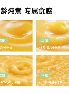 【微压快炖】分月龄宝宝炖锅
