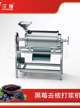 厂家优惠工业不锈钢黑莓去核打浆机葡萄草莓桑葚打浆水果原浆加工