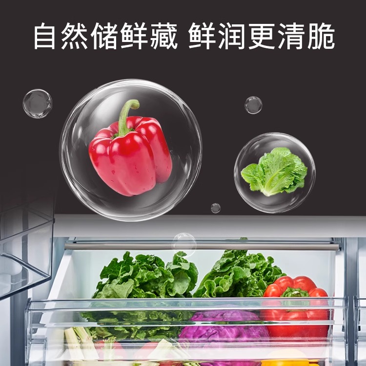 新品西门子冰箱558L零嵌大容量智能变温储鲜抗菌净味 KC88BEA63C - 图2