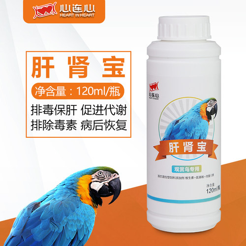 心连心鹦鹉药鸽药大全鸽子鹦鹉鸟用电解质益生菌感克灵鸟C净 - 图1