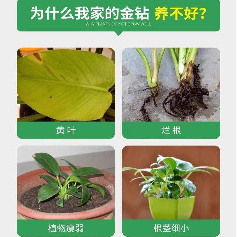 金钻营养液专用肥料家用室内养花绿钻红钻大叶绿公主盆栽园艺肥料,淘宝优惠券,粉丝福利购,淘宝优惠卷