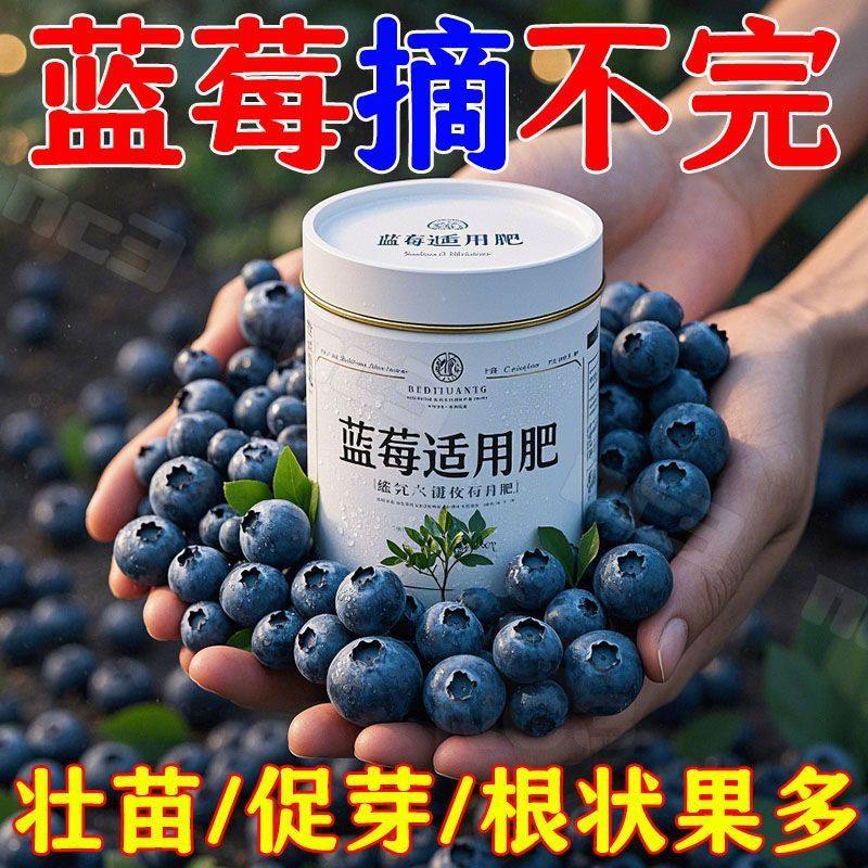 蓝莓专用肥爆果营养液家用生长期坐果增甜水溶肥防黄叶烂根绿篱机,淘宝优惠券,粉丝福利购,淘宝优惠卷