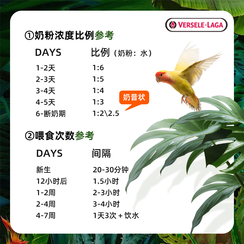 [比利时原装]凡赛尔A21鹦鹉奶粉牡丹玄凤小太阳幼鸟专用进口正品,淘宝优惠券,粉丝福利购,淘宝优惠卷