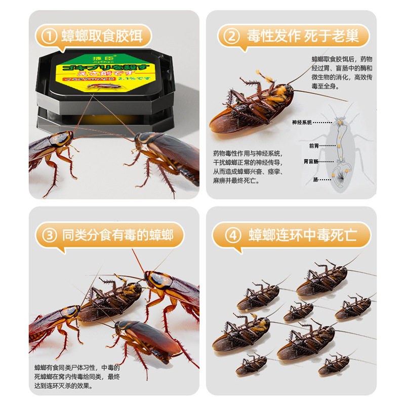 德国蟑螂药家用非无毒全窝正品孕妇婴儿强效端虫卵双杀灭除,淘宝优惠券,粉丝福利购,淘宝优惠卷