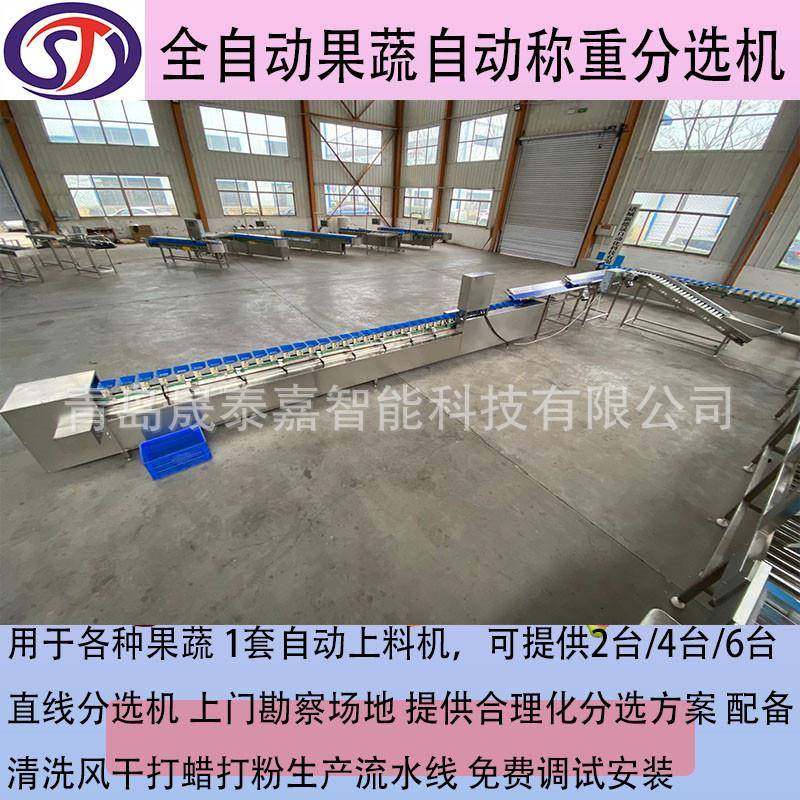 料盒式重量分选机海鲜肉类水果蔬菜转盘重量分选机分拣机设备,淘宝优惠券,粉丝福利购,淘宝优惠卷