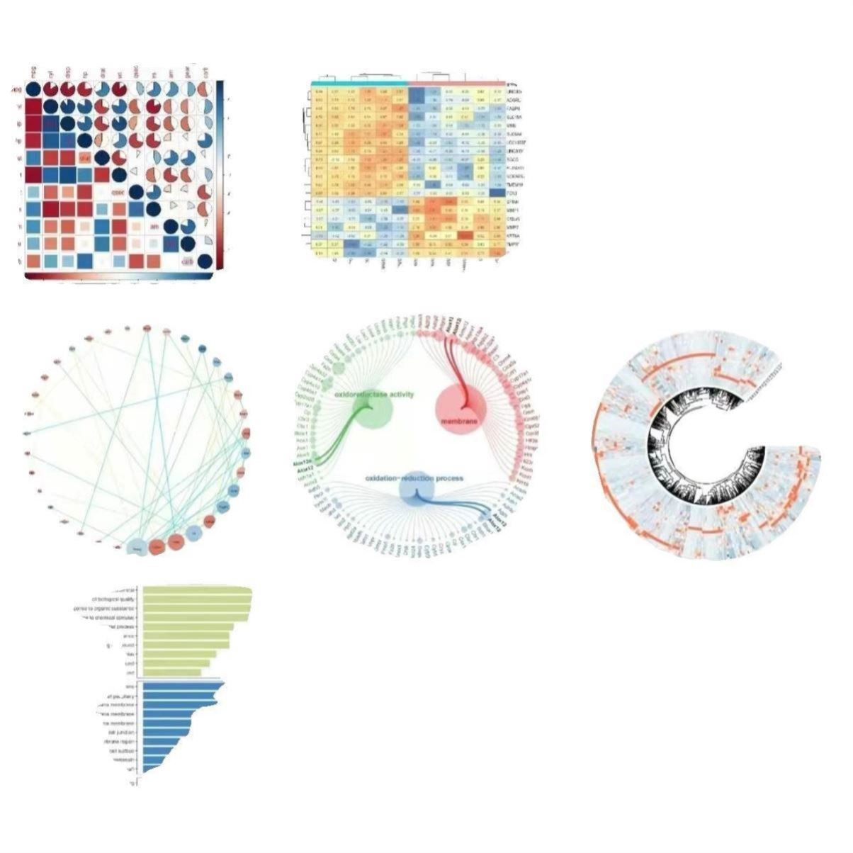 生信做图 转录组学,蛋白质组学,代谢组学测序数据分析,RNA-seq - 图0