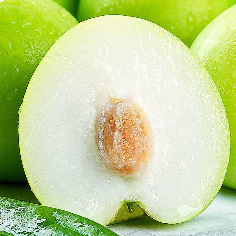 正宗牛奶大青枣奶香青枣水果整箱新鲜冬枣大果青枣脆甜孕妇苹果枣,淘宝优惠券,粉丝福利购,淘宝优惠卷