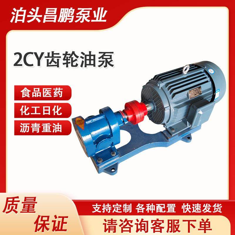 2CY电动齿轮机油柴油泵头三相380V电机组抽油泵液压油泵耐高温,淘宝优惠券,粉丝福利购,淘宝优惠卷