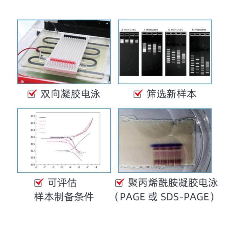 科技电泳仪小型垂直水平电泳槽电源凝胶转印槽蛋白槽实验室用,淘宝优惠券,粉丝福利购,淘宝优惠卷