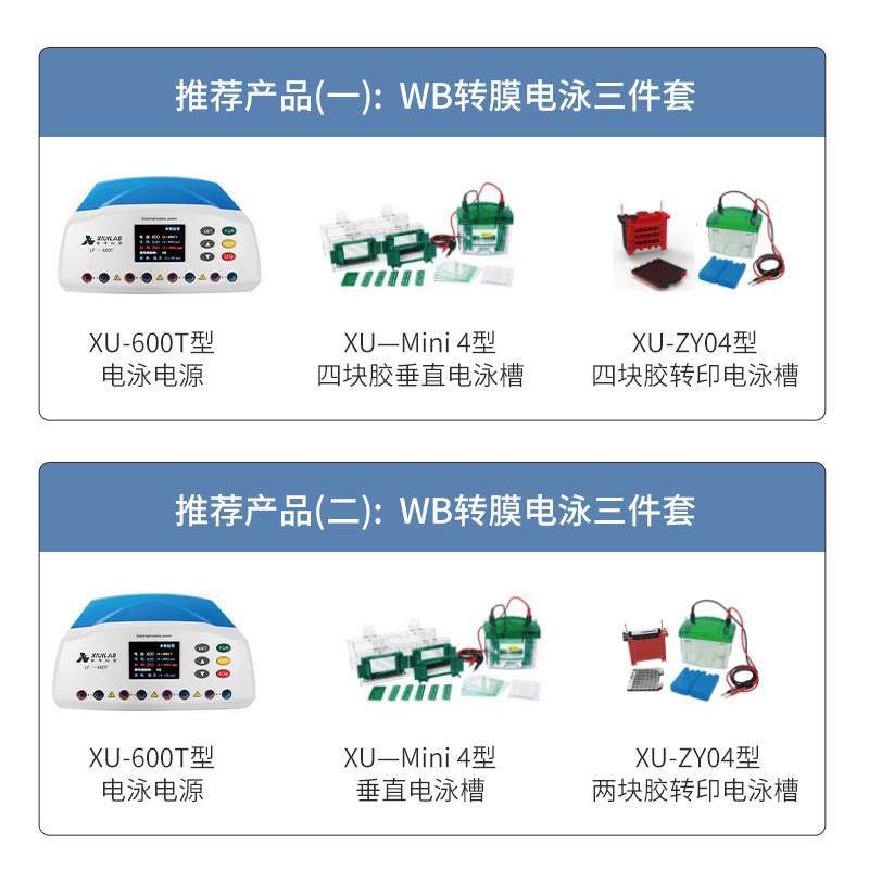 科技电泳仪小型垂直水平电泳槽电源凝胶转印槽蛋白槽实验室用,淘宝优惠券,粉丝福利购,淘宝优惠卷