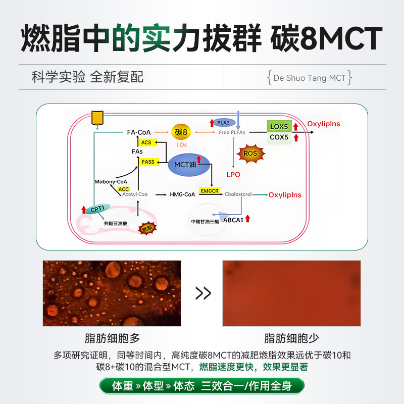 德硕堂MCT复合片中链甘油三酯碳8MCT快速入酮控糖饱腹身材管理,淘宝优惠券,粉丝福利购,淘宝优惠卷
