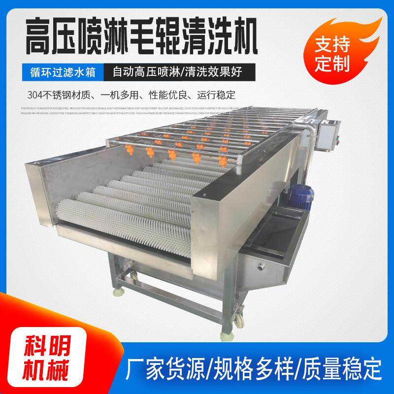 全套西梅干加工流水线果蔬高压喷淋气泡清洗机葡萄干清洗风干线,淘宝优惠券,粉丝福利购,淘宝优惠卷