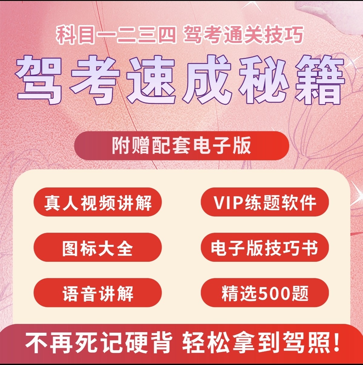 驾考新规2025年科目一科目四技巧书驾校考场答题秘籍 VIP 班·赠练题软件+视频课程+答题技巧书 - 图1