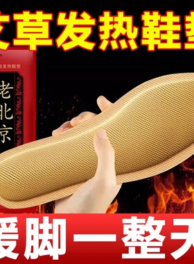 秋冬御寒神器自发热鞋垫加热恒温鞋垫暖脚宝全身暖可行走持久发热