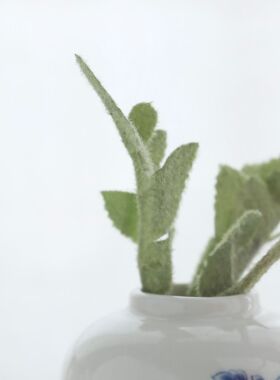 MUSe Garden 缠枝绕藤挽伊人 荷兰代尔夫特新中式青花瓷小花瓶