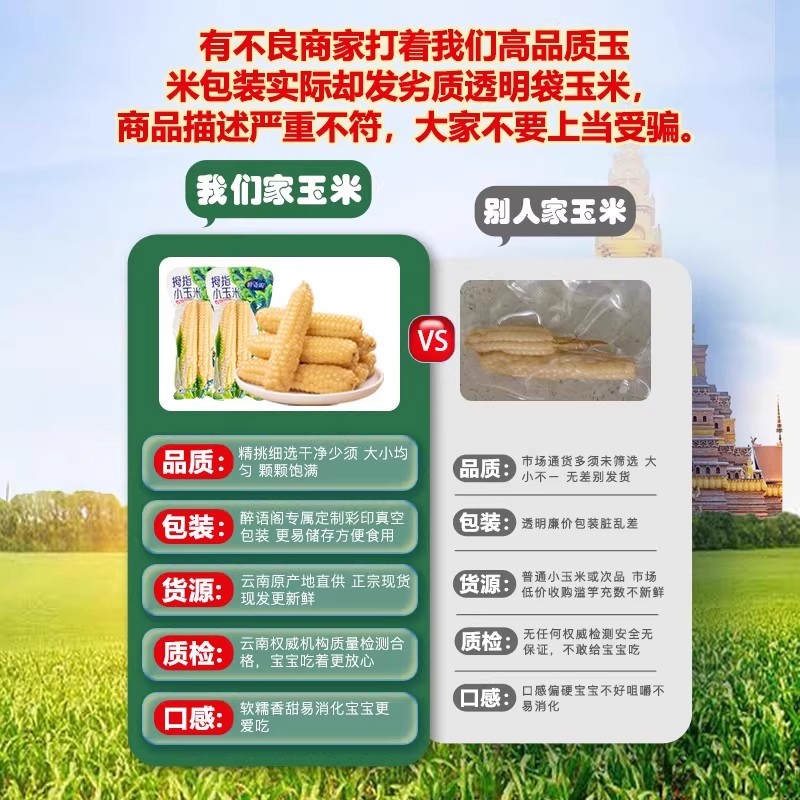 正宗云南西双版纳香糯拇指玉米手指玉米小玉米新鲜真空宝宝爱吃 - 图2