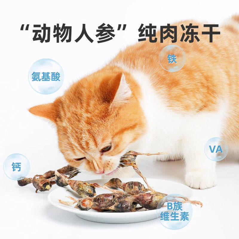 江小傲猫咪零食小鹌鹑猫冻干零食幼猫成猫营养磨牙洁齿宠物通用,淘宝优惠券,粉丝福利购,淘宝优惠卷