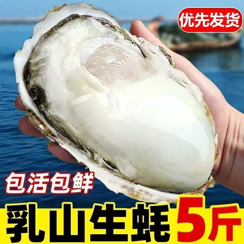 蚝丫丫正宗乳山生蚝鲜活特大牡蛎海蛎子海鲜生蚝即食礼盒小红扇贝,淘宝优惠券,粉丝福利购,淘宝优惠卷