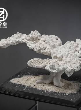 海之皇 高透水陶瓷虾虎窝海葵窝海缸珊瑚底座躲避窝造景装饰摆件