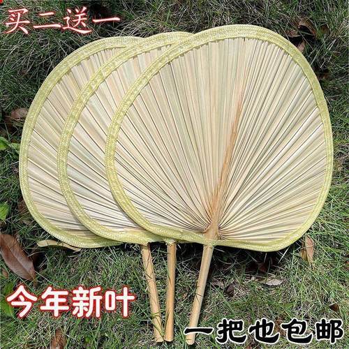 扇子大芭蕉扇子老式家用济公扇葵扇新款蒲扇夏季舞蹈烧烤扇蒲草扇 - 图0