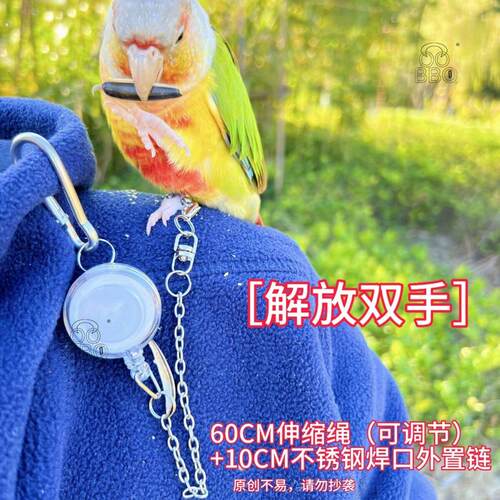[伸缩绳可调节]松鼠鹦鹉鸟用放飞绳伸缩可调节虎皮玄凤超轻牵引绳 - 图1