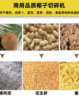 专业椰肉粉碎机商用椰蓉机全自动蔬菜瓜果破碎机新生姜打泥机