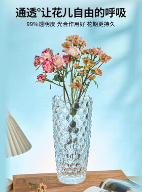 朗旭玻璃花瓶摆件生产水培ins风大口径简约插花家居干花花瓶