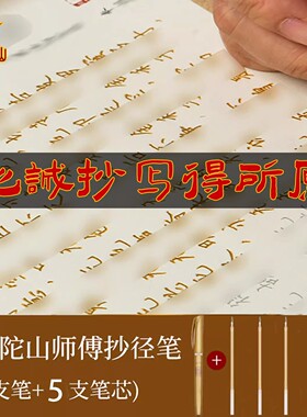 普陀山静心般若菠萝蜜多心临硬笔