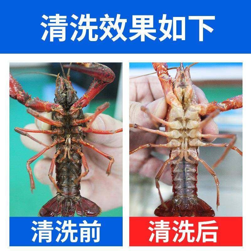 全自动商用清洗机气泡蔬菜饭店果蔬清洗超声波洗碗机多功能清洁机,淘宝优惠券,粉丝福利购,淘宝优惠卷