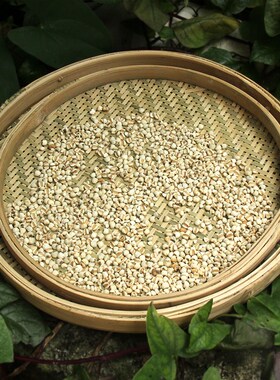 晾晒网竹编竹制品晒菜网网筛晒肉晒鱼干竹筛子竹匾漏手工圆簸箕