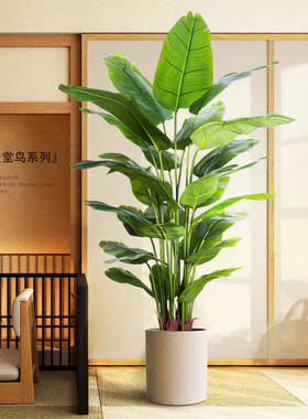 仿真绿色植物侘寂风植物落地假盆栽仿生花艺型室内树旅人蕉