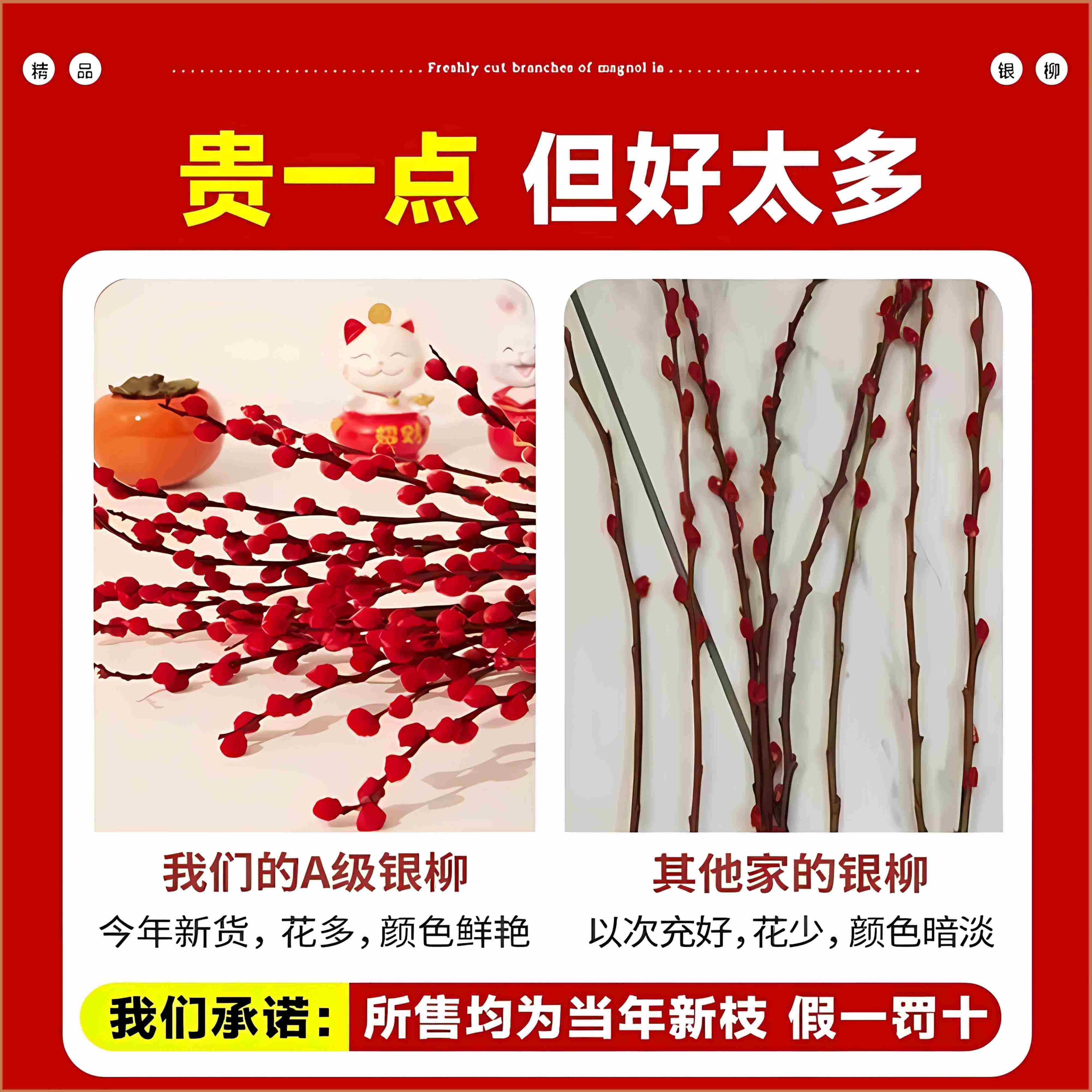 银柳真花鲜枝客厅摆件冬季耐寒干花新年红色福桶招财年宵花卉盆栽,淘宝优惠券,粉丝福利购,淘宝优惠卷