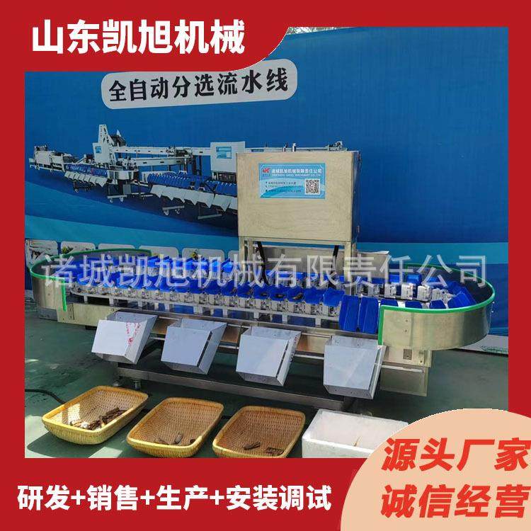 供应小型商用选果机蟠桃油桃自动克重筛选机水果称重分选机,淘宝优惠券,粉丝福利购,淘宝优惠卷