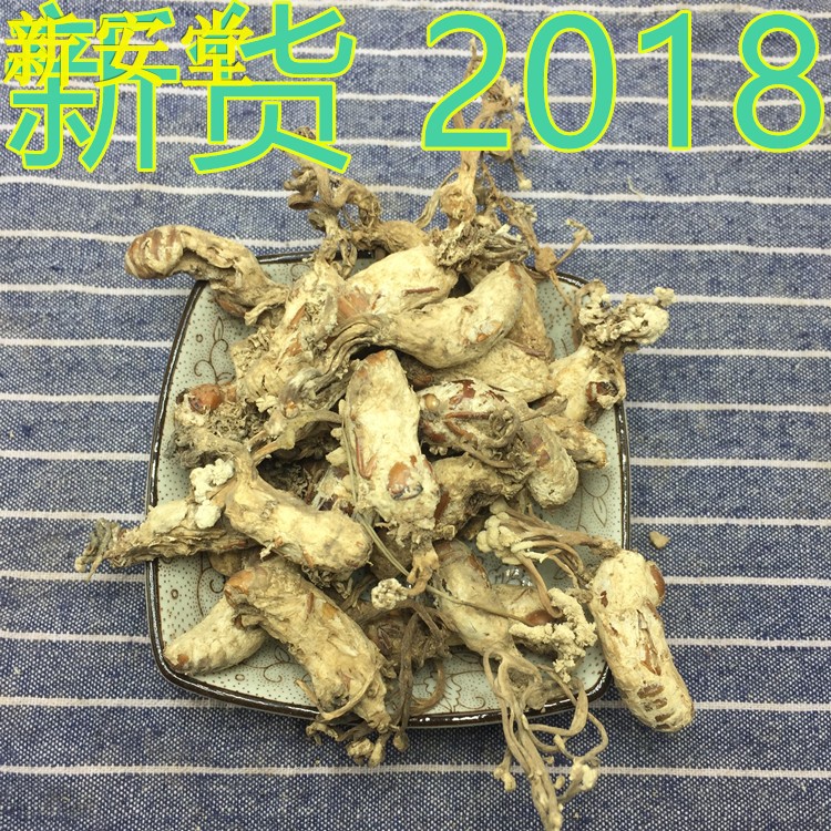 知了花 500g正品金蝉花蝉花虫草竹林蝉花知了猴花-图0