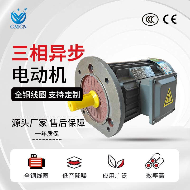三相异步电机 YE3-200L1/L2-2极铁壳电动机 30W-37千瓦全铜马达 - 图1
