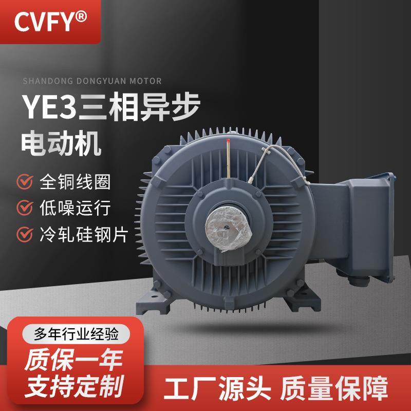 三相异步电动机 380V YE3-355M1/M2-2极220W/250千瓦机械用电机 - 图1